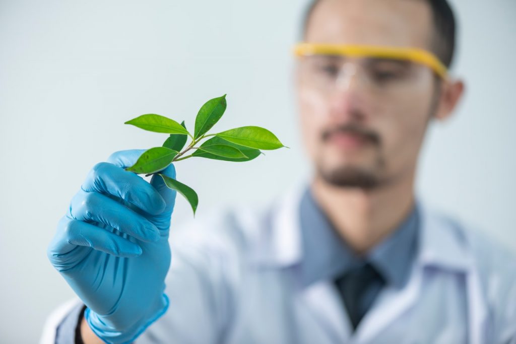 plant grooming