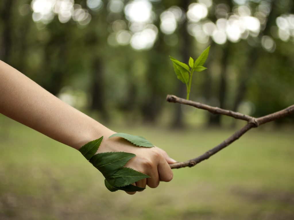 human and nature