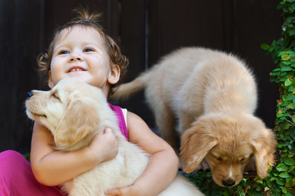 toddler with dogs